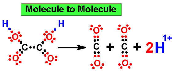 Oxalic Acid changes to Carbon Dioxide