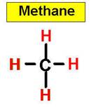 metanez